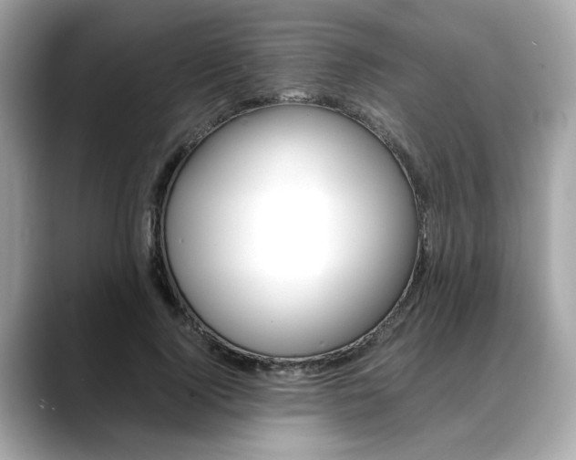 X0000088700740200705311016