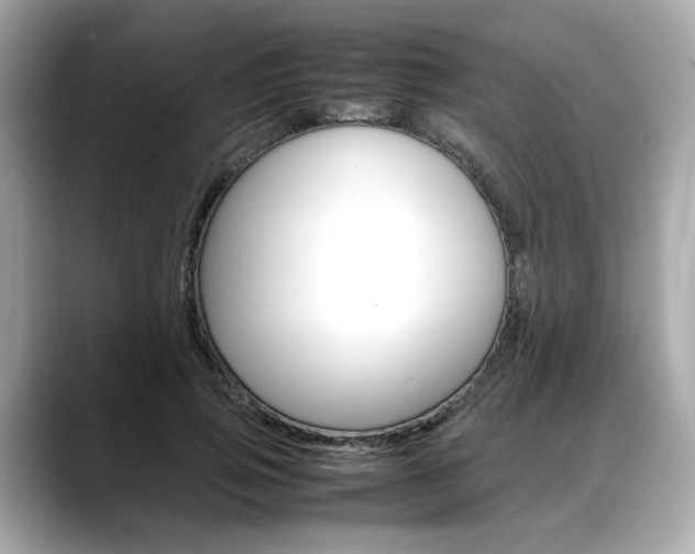 X0000088700741200705311016