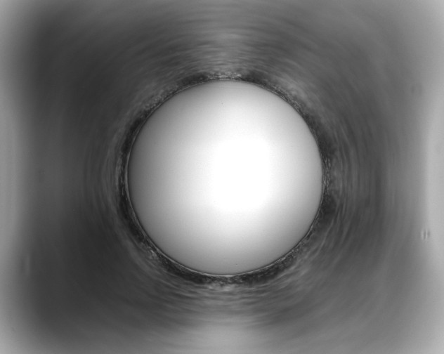 X0000088700742200705311016