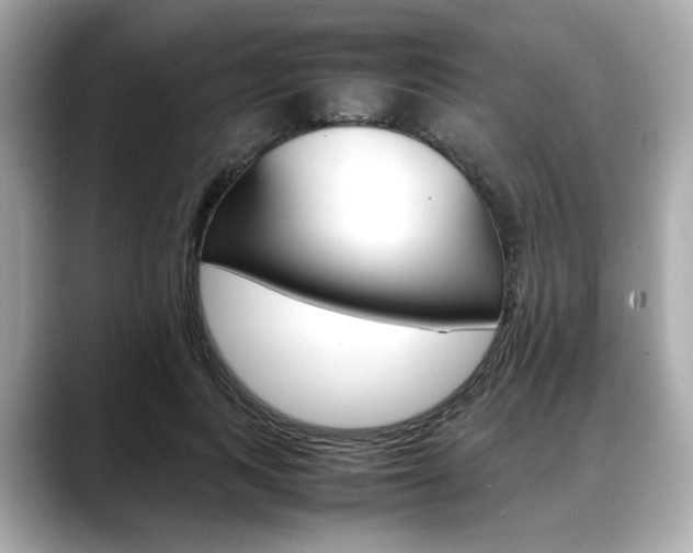 X0000088700743200705311016