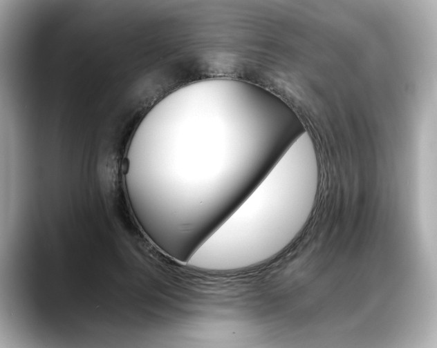 X0000088700744200705311016