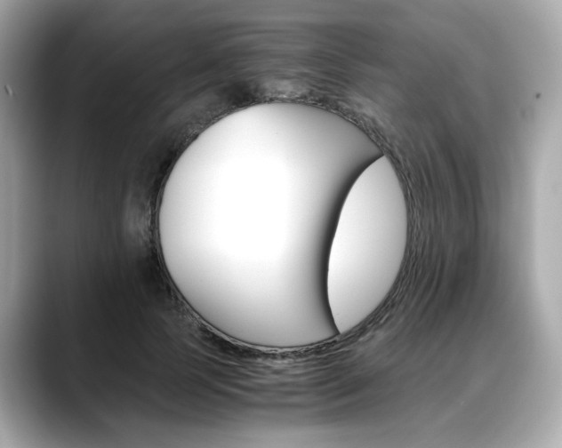 X0000088700745200705311016