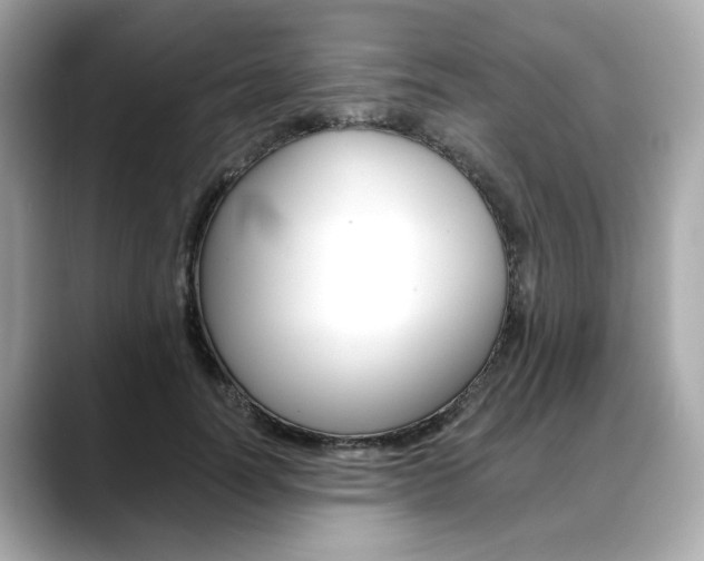 X0000088700746200705311016
