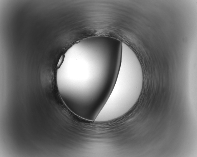 X0000088700748200705311016