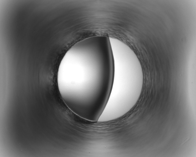 X0000088700750200705311016