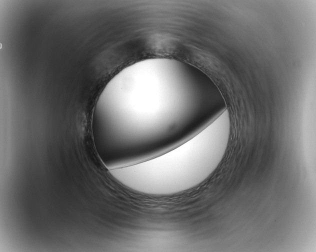 X0000088700752200705311016