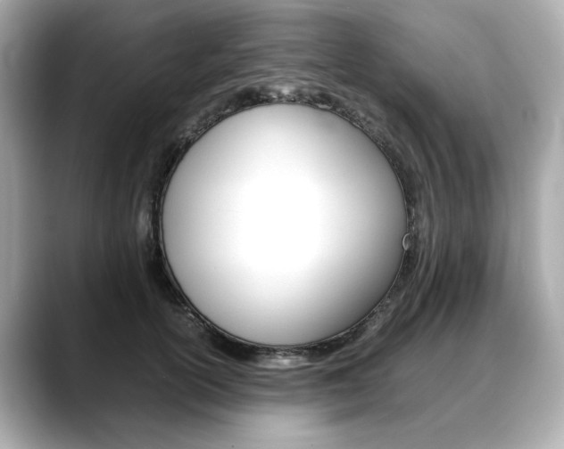 X0000088700754200705311016