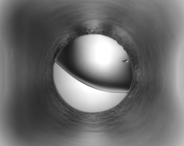 X0000088700756200705311016
