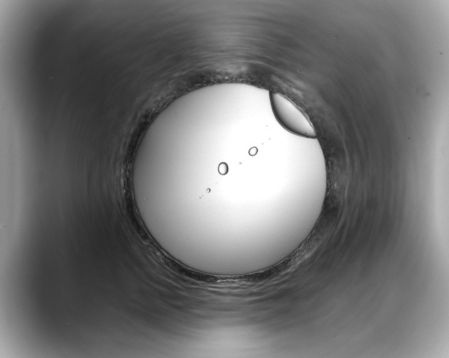 X0000088700758200705311016