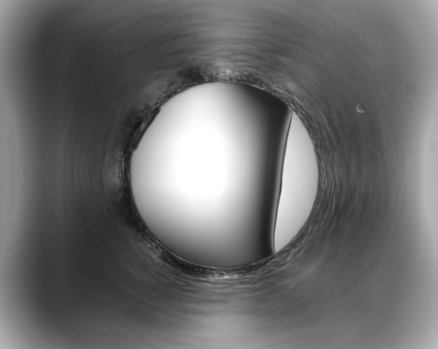 X0000088700760200705311016