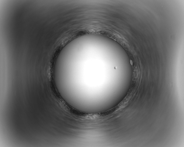 X0000088700762200705311016