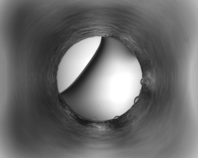 X0000088700763200705311016