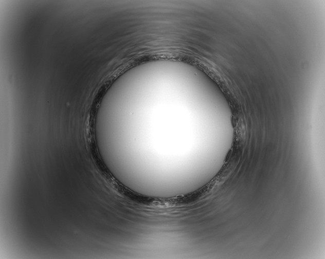 X0000088700764200705311016