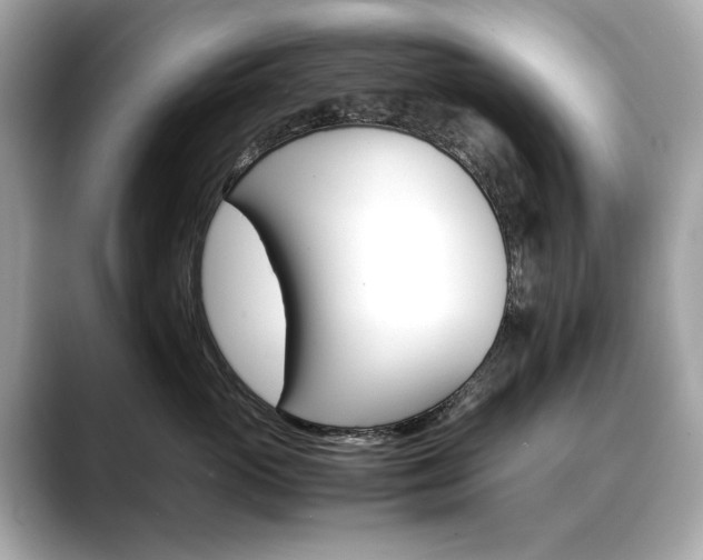 X0000088700765200705311016