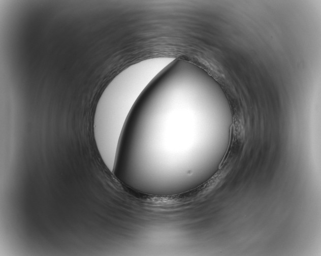 X0000088700766200705311016