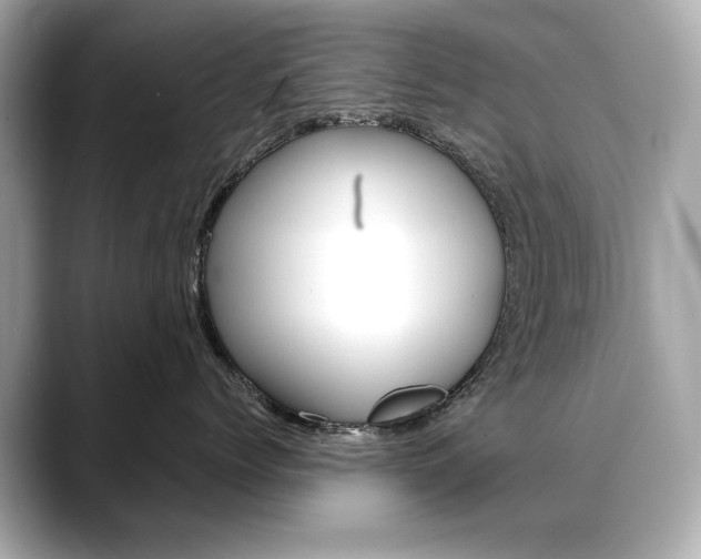 X0000088700768200705311016