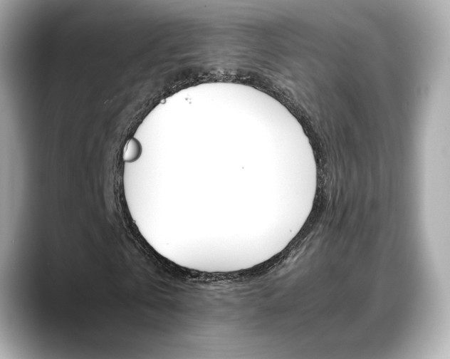 X0000088700769200705311015