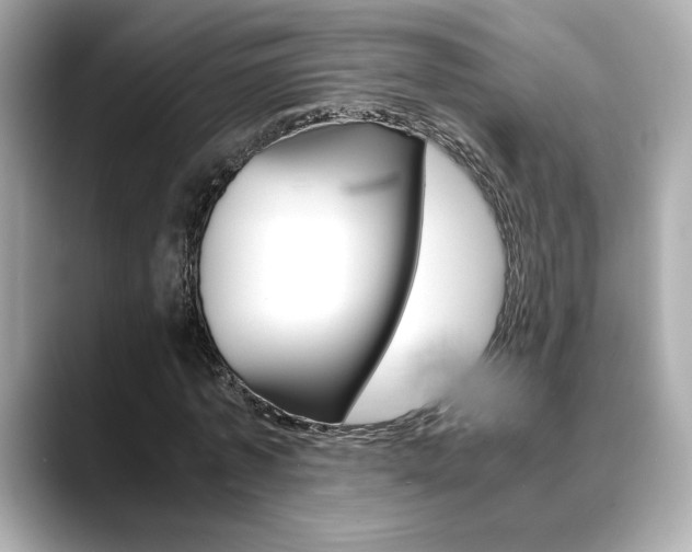 X0000088700773200705311015