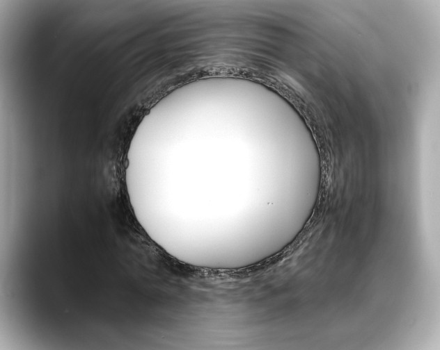 X0000088700774200705311015