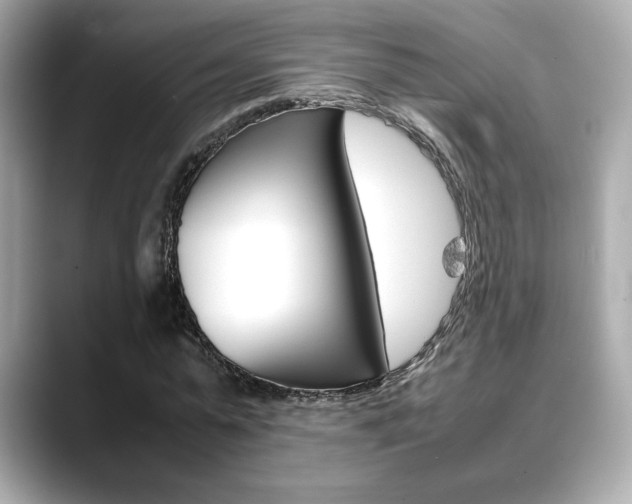 X0000088700775200705311015