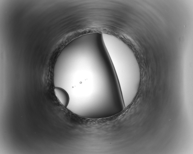 X0000088700776200705311015