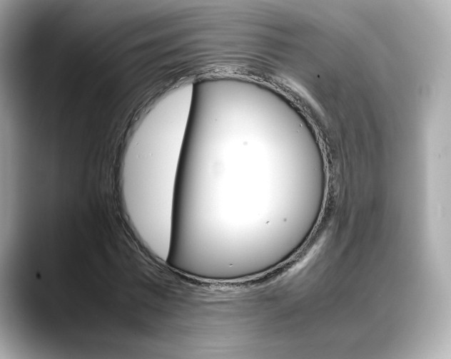 X0000088700777200705311015
