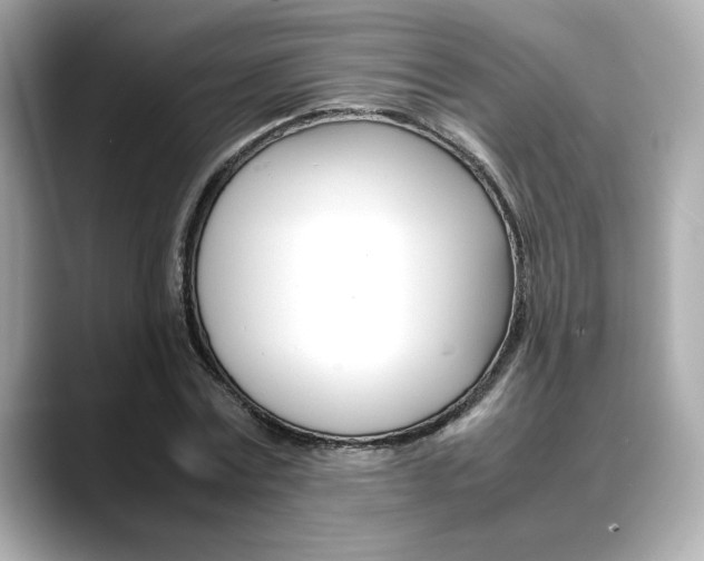 X0000088700779200705311015