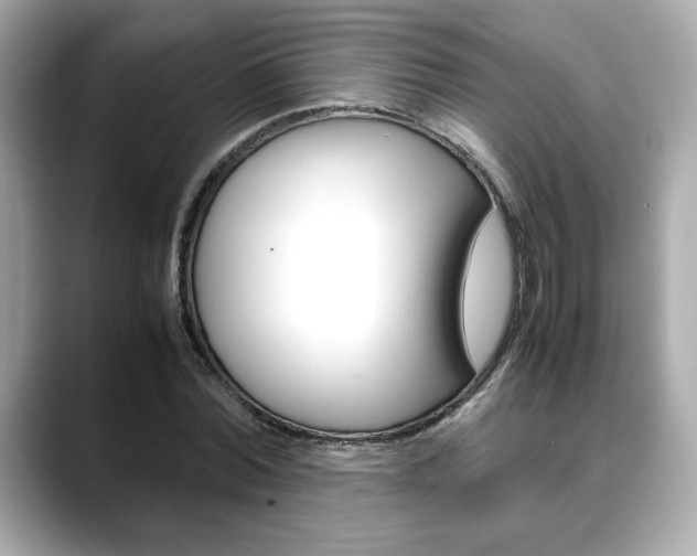 X0000088700780200705311015