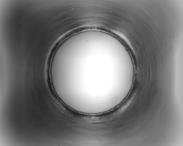 X0000088700783200705311015