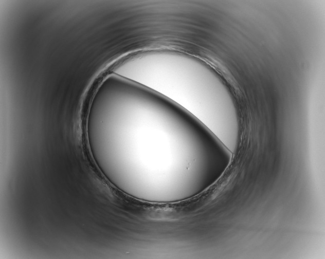 X0000088700784200705311015