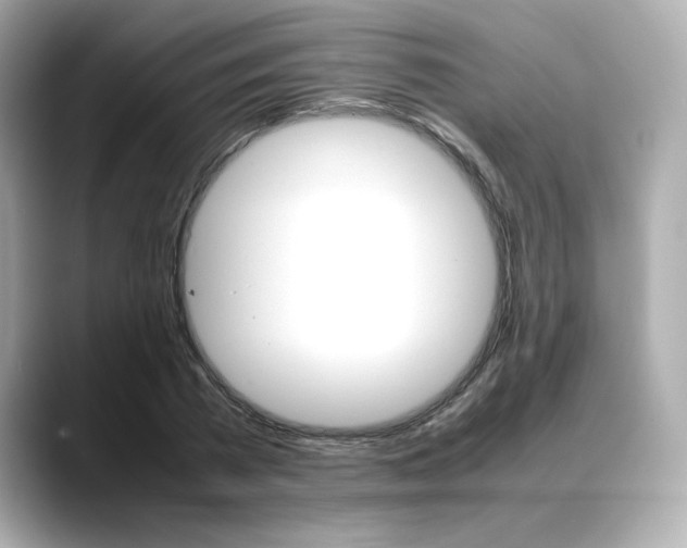 X0000088700785200705311015