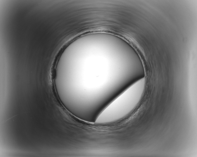 X0000088700789200705311015