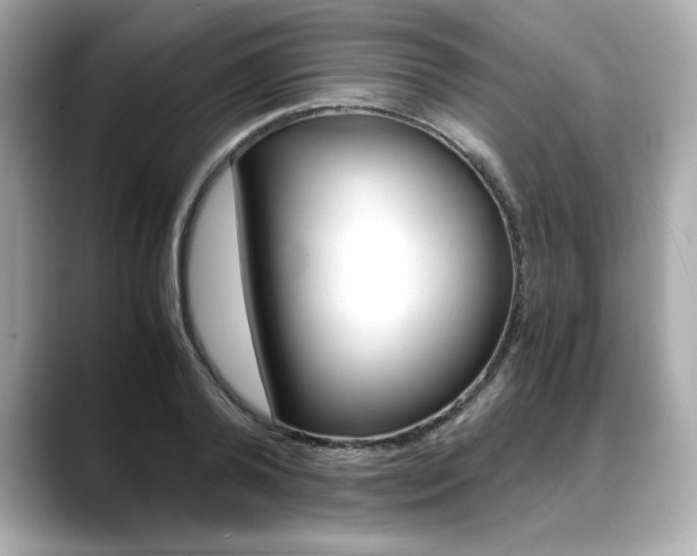 X0000088700792200705311015