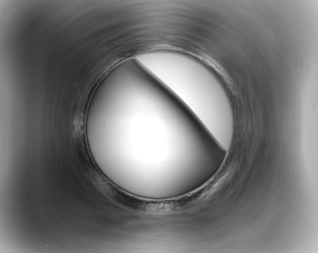 X0000088700793200705311015