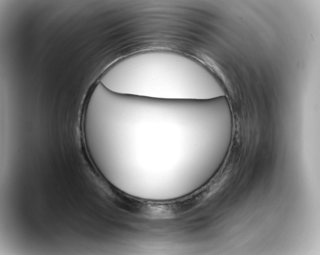 X0000088700794200705311015