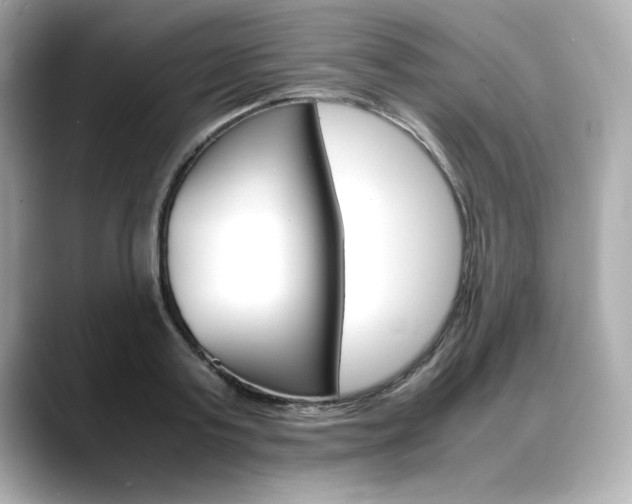 X0000088700795200705311015