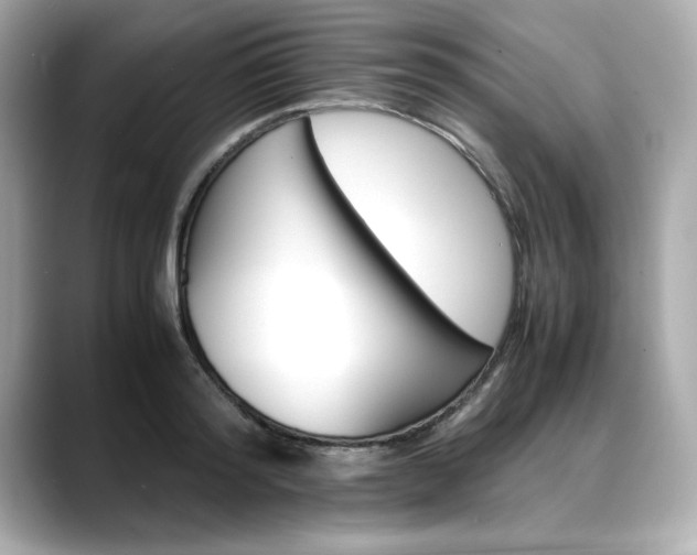 X0000088700796200705311015