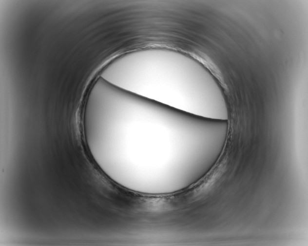X0000088700798200705311015