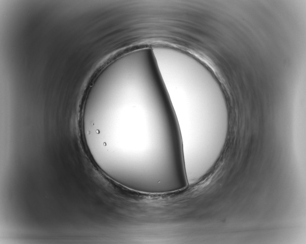 X0000088700799200705311015