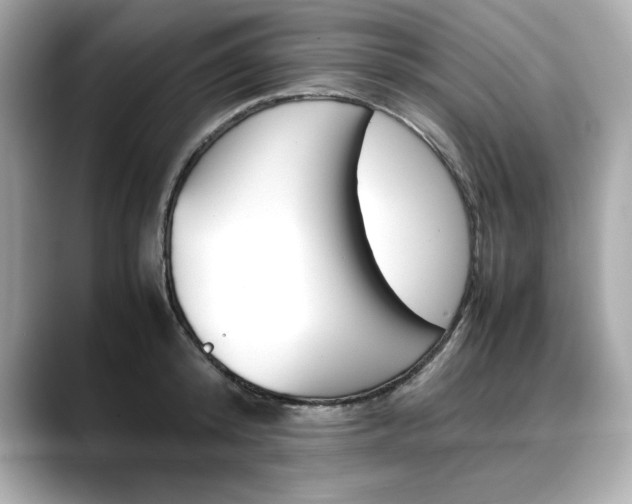X0000088700800200705311015