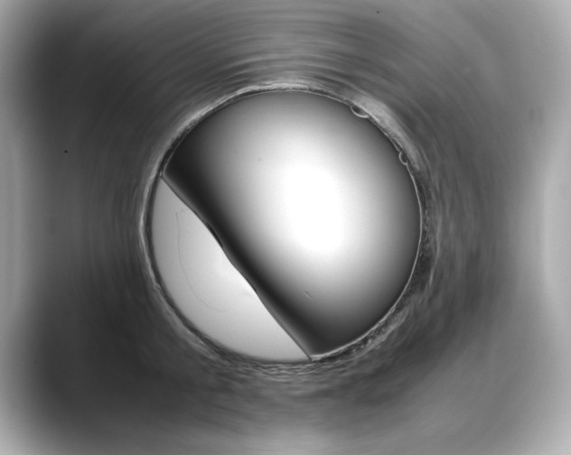 X0000088700805200705311015