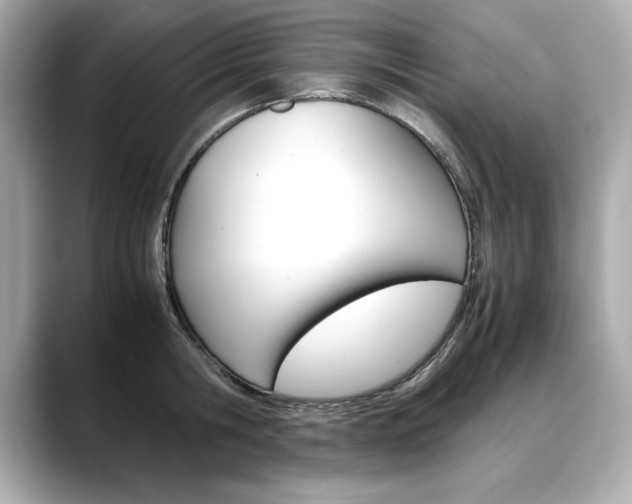 X0000088700806200705311015