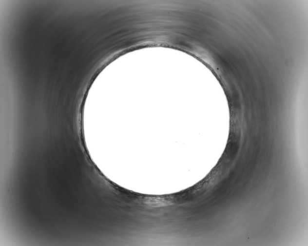 X0000088700807200705311015
