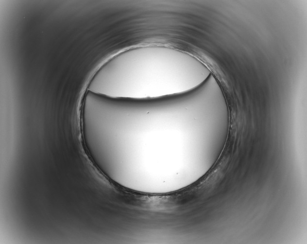 X0000088700808200705311015
