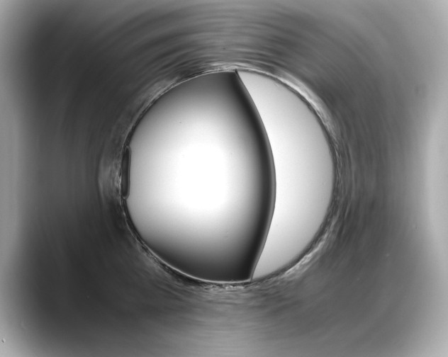X0000088700809200705311015
