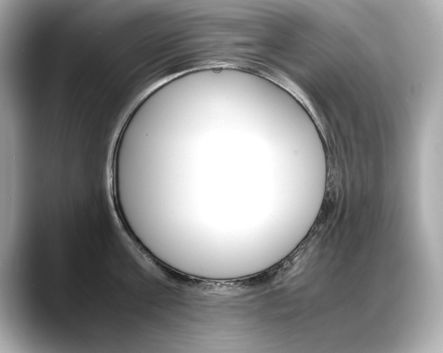 X0000088700811200705311015