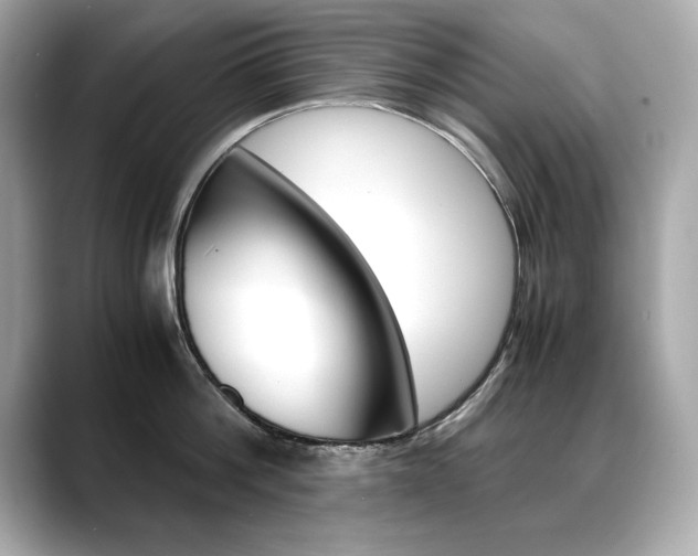 X0000088700812200705311015