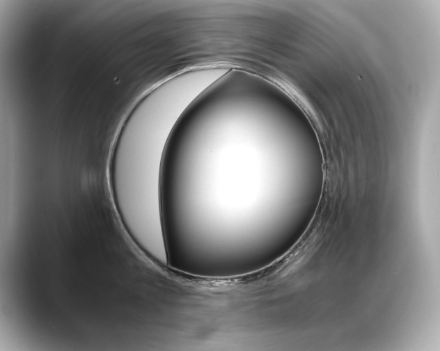 X0000088700813200705311015