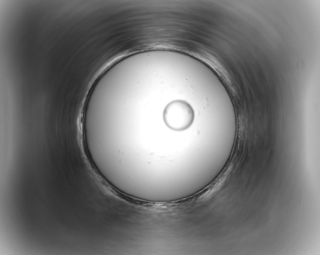 X0000088700814200705311015