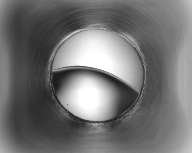 X0000088700816200705311015